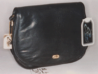 Ladies Handbag (LHB-34)